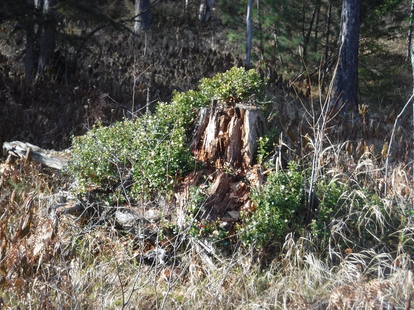 DSCF5019.JPG