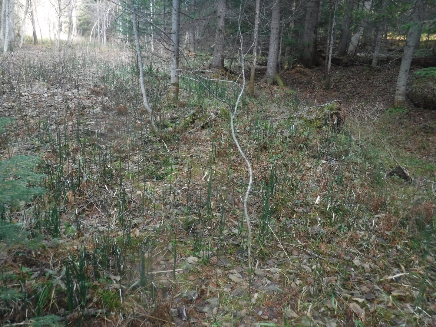 DSCF5028.JPG
