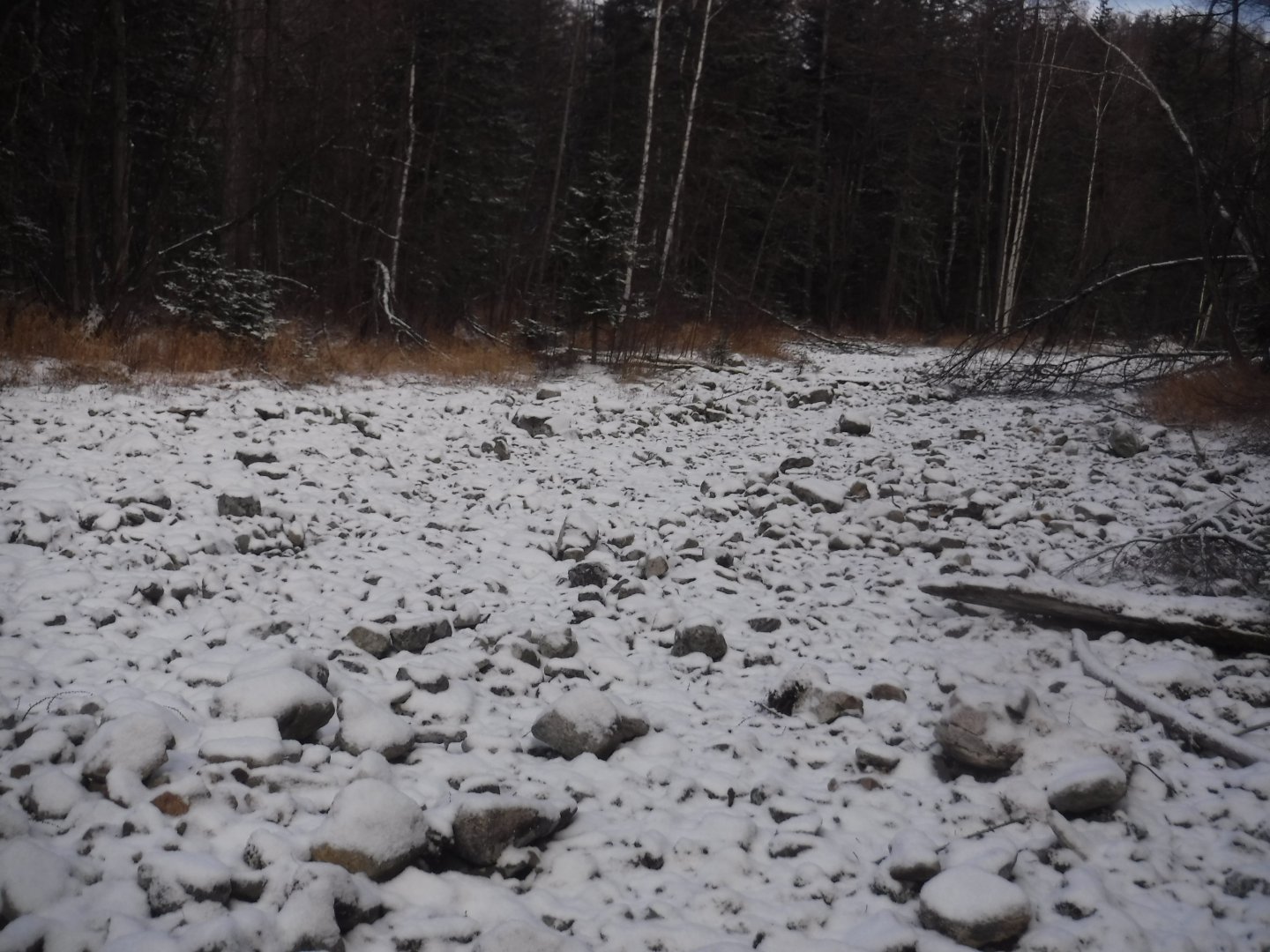DSCF5041.JPG