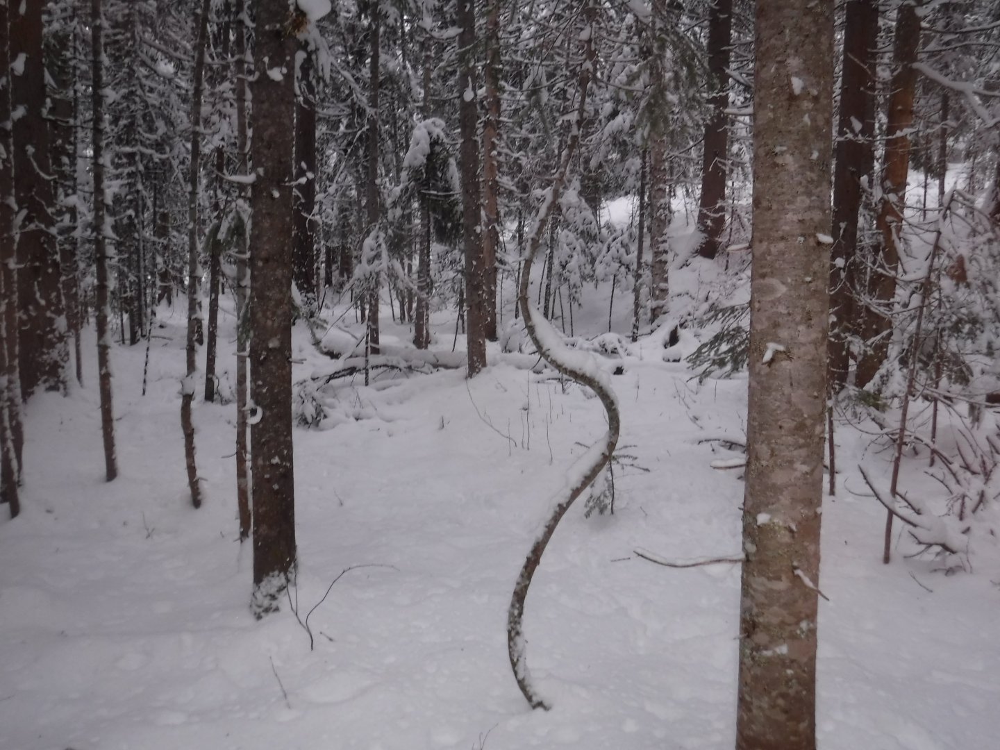 DSCF5121.JPG