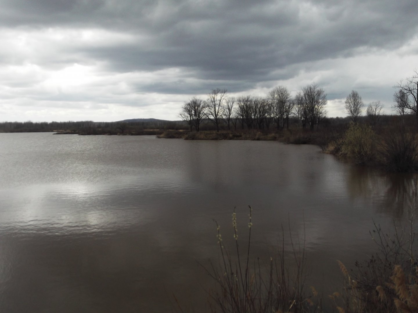 DSCF5145.JPG
