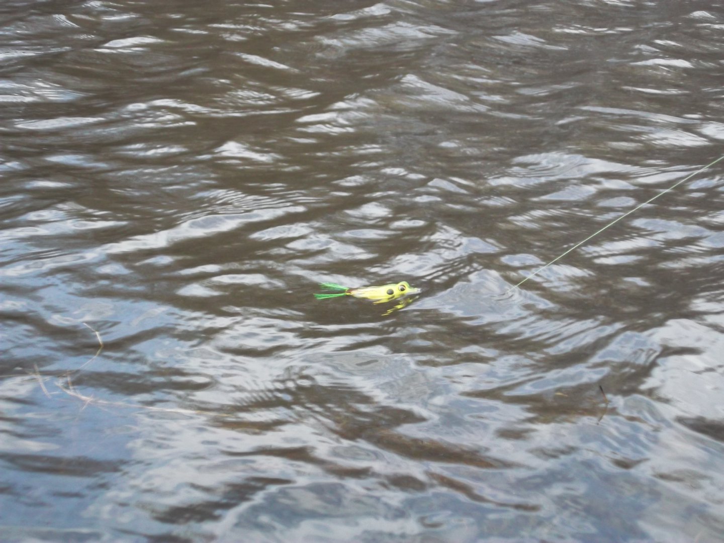 DSCF5146.JPG