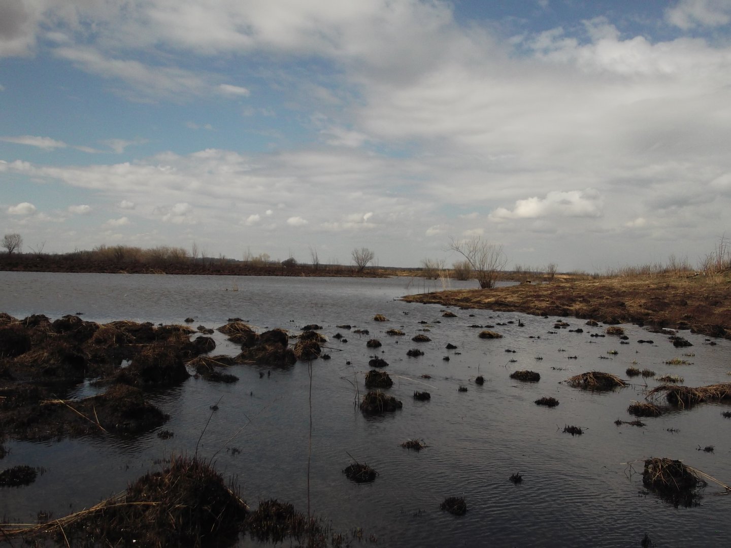 DSCF5150.JPG