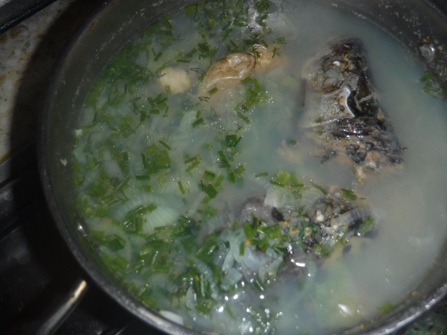 DSCF5197.JPG