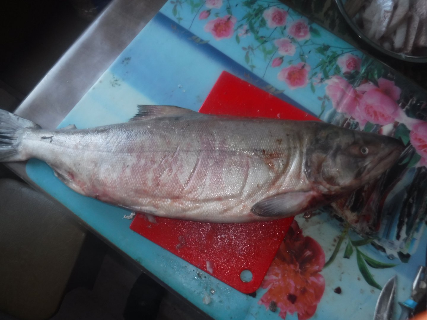 DSCF5212.JPG