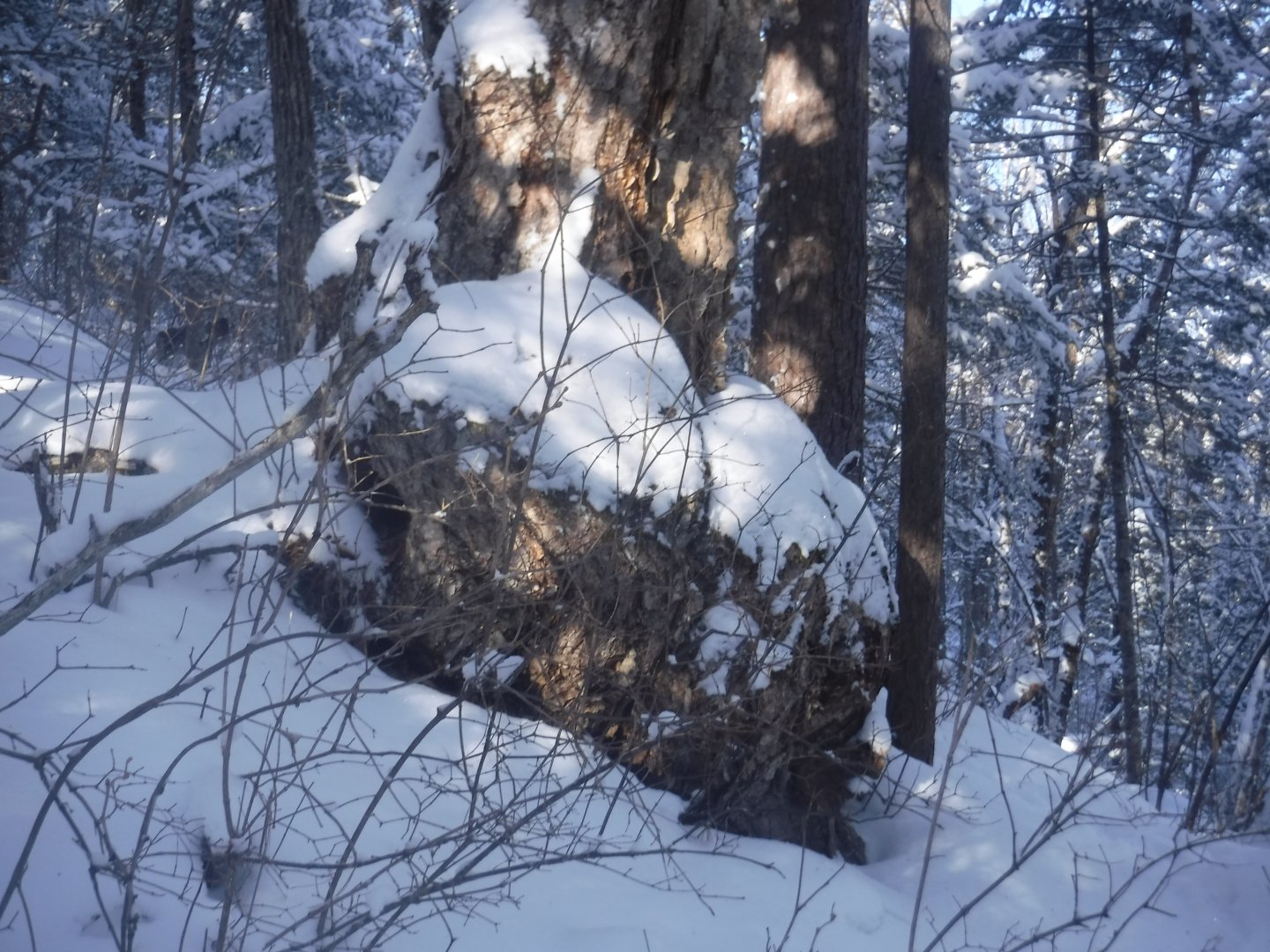 DSCF5248.JPG