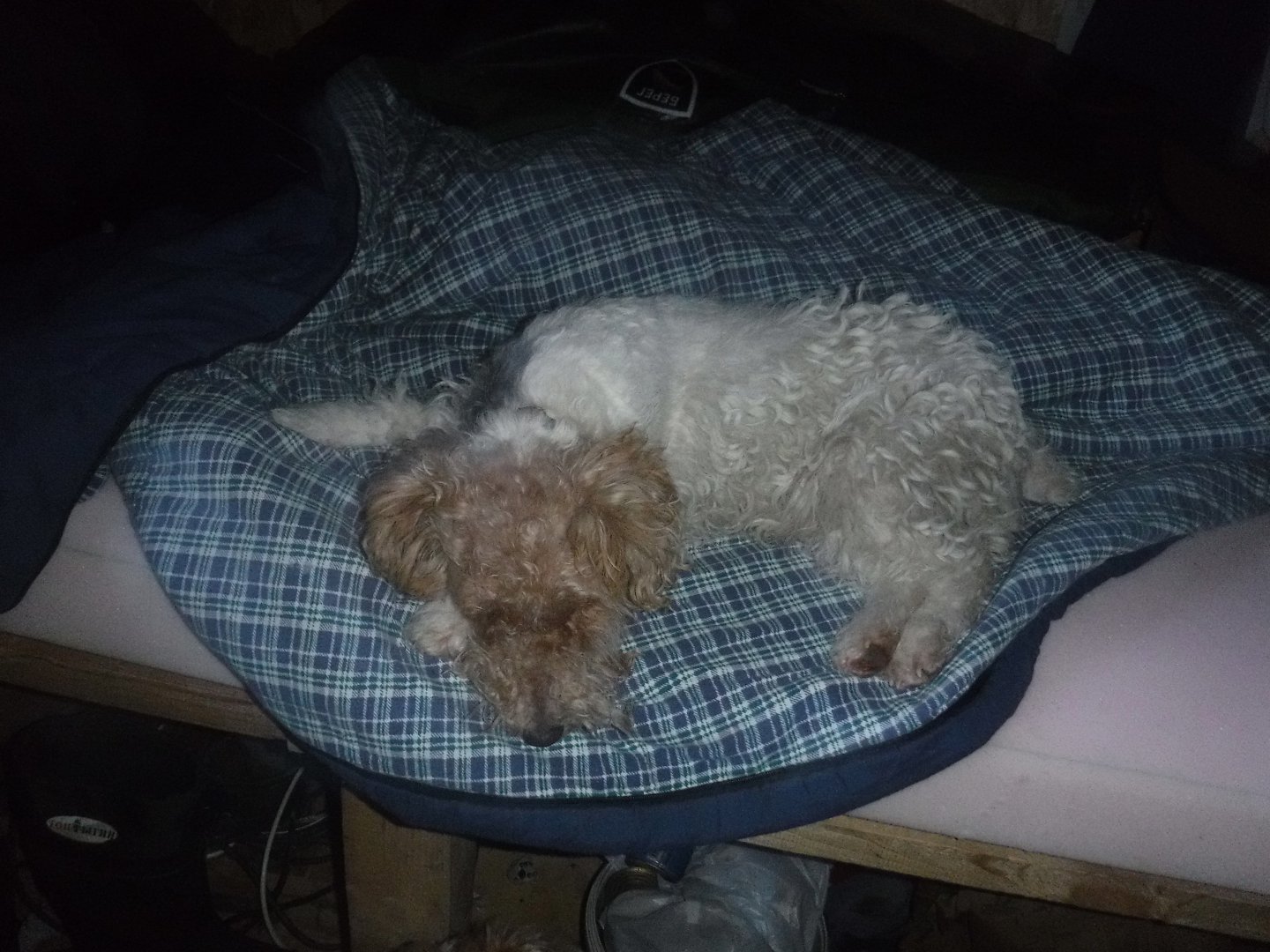 DSCF5251.JPG