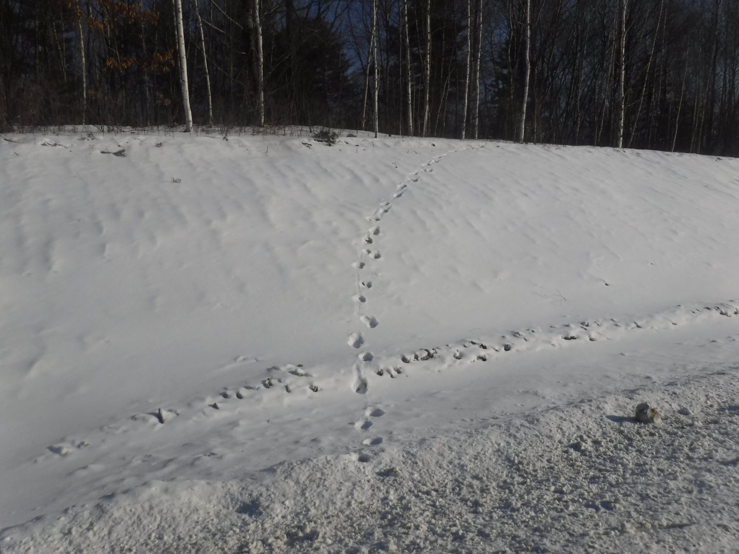 DSCF5275.JPG