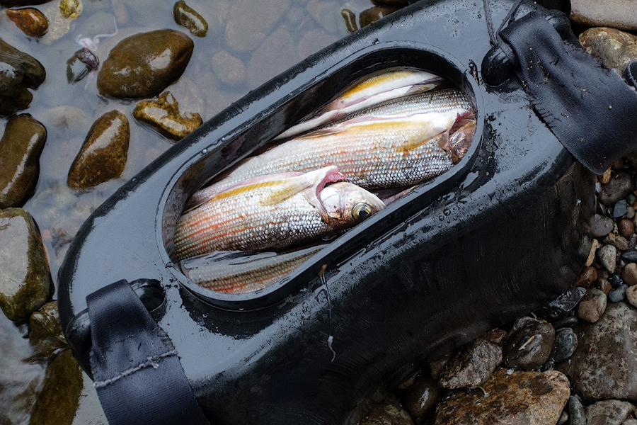 DSCF5290.jpg