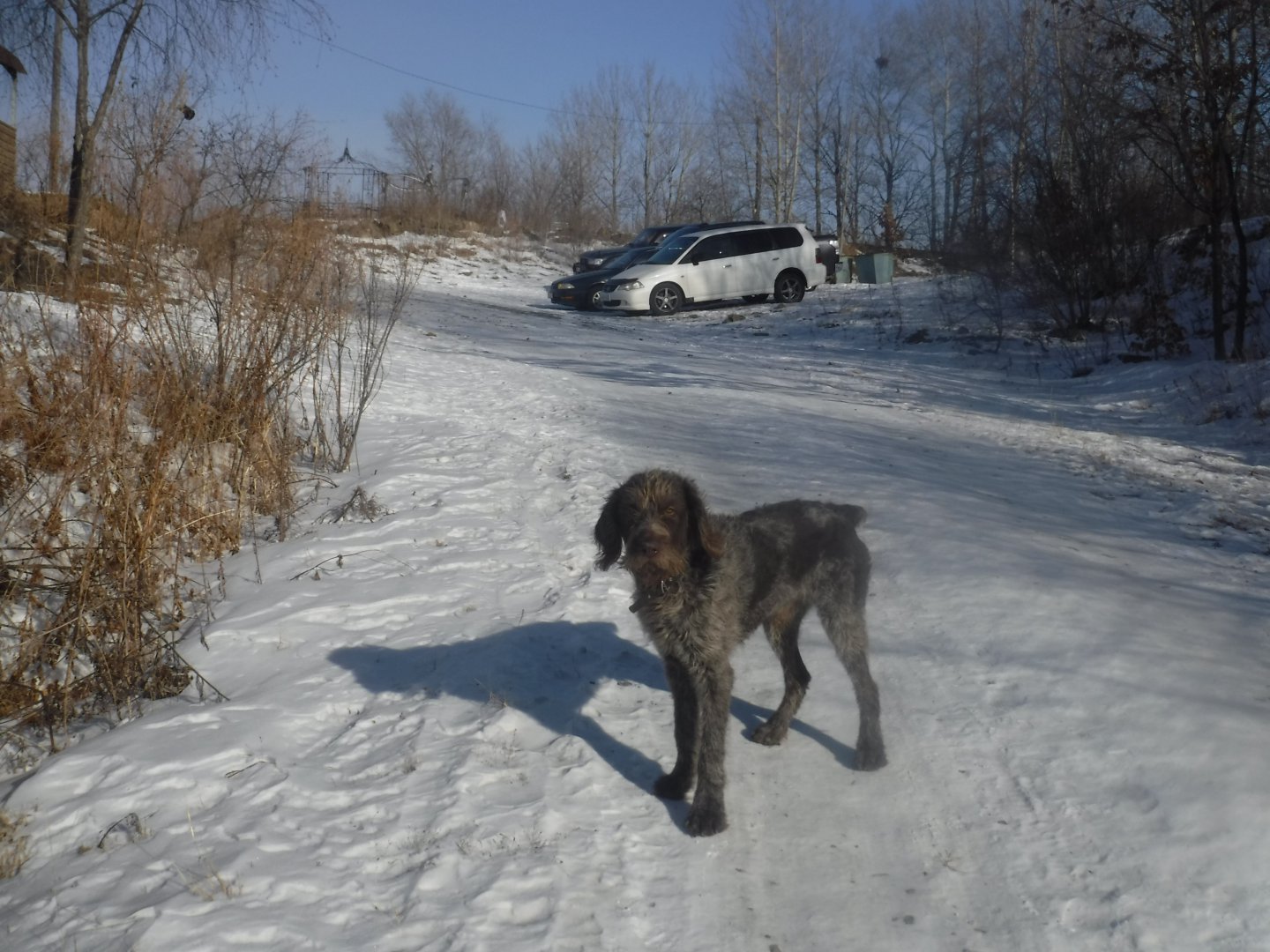 DSCF5350.JPG