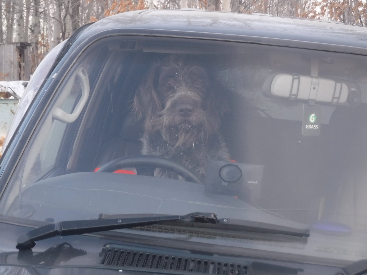 DSCF5361.JPG