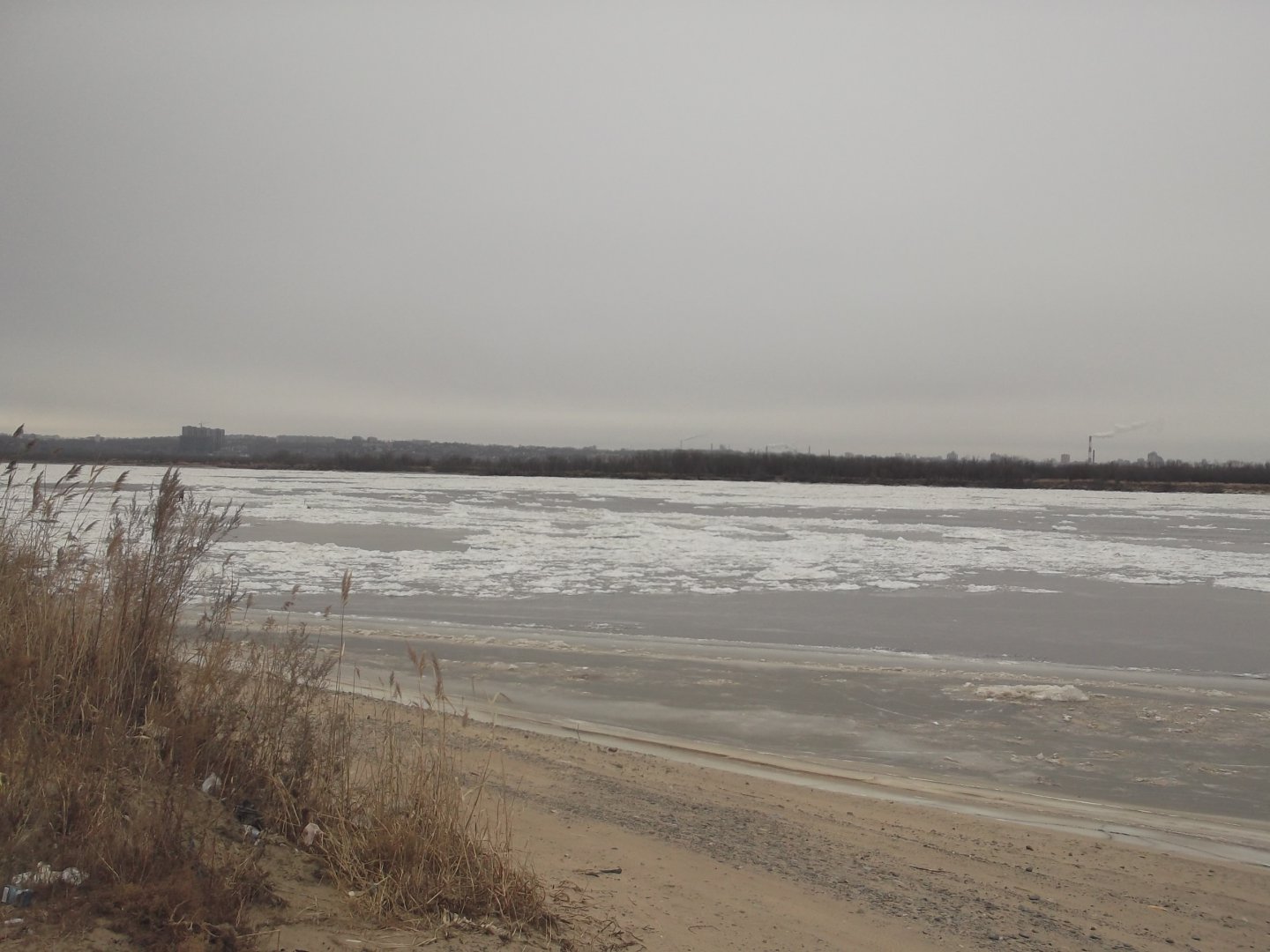 DSCF5533.JPG