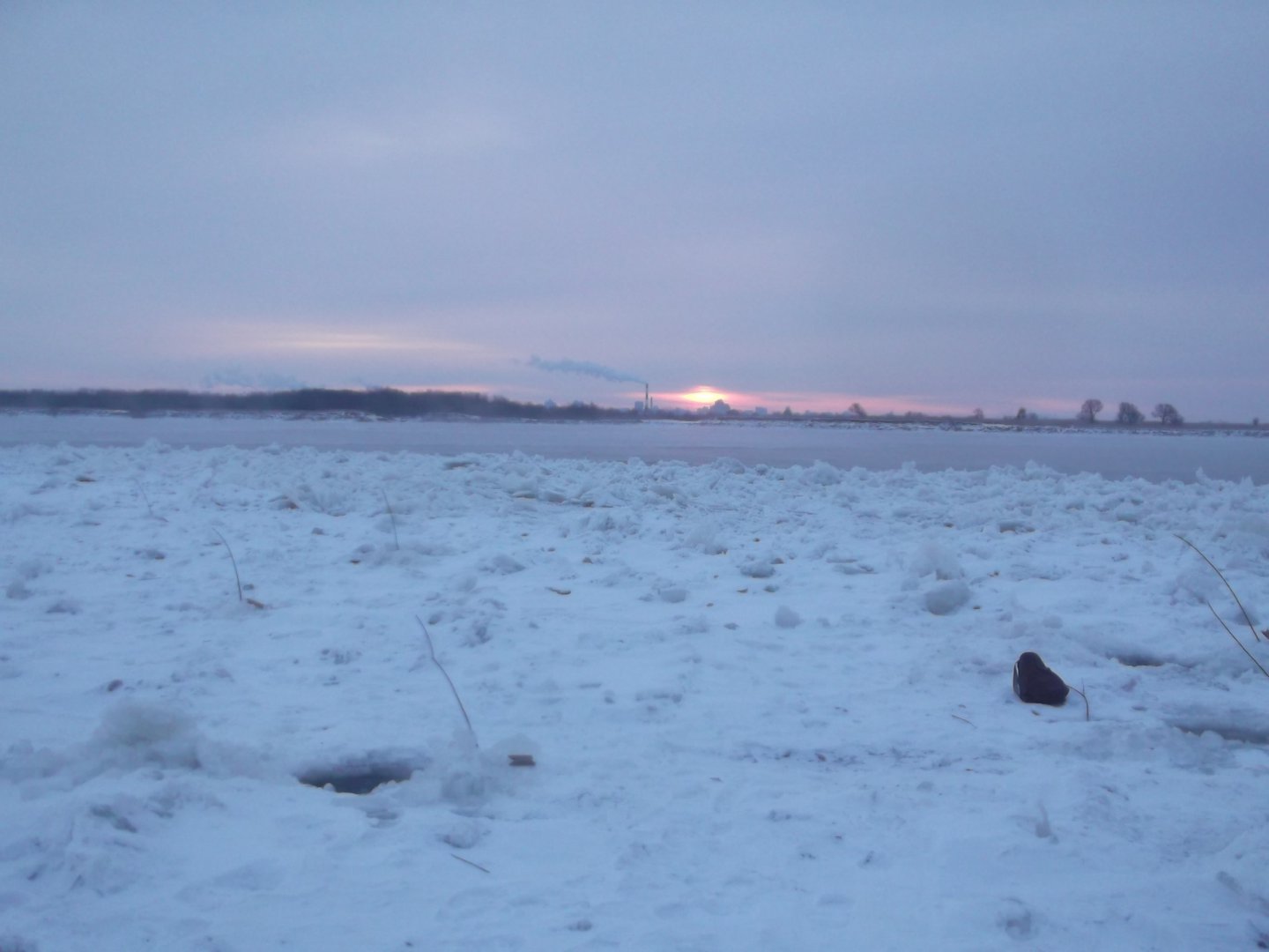 DSCF5545.JPG
