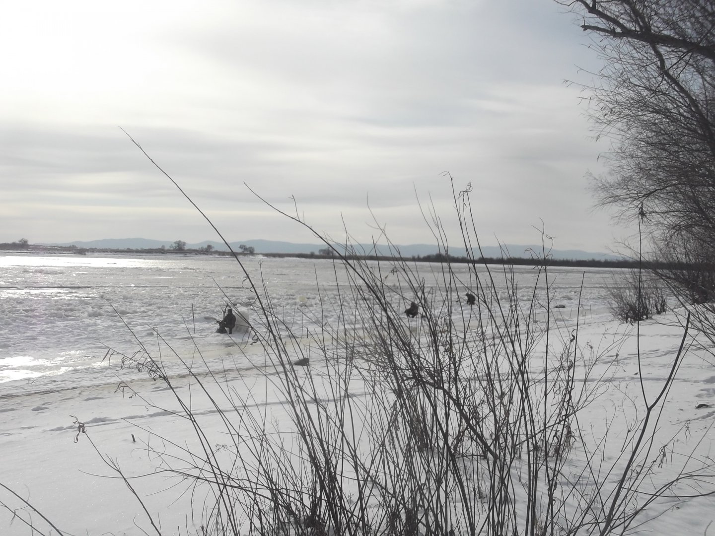 DSCF5551.JPG