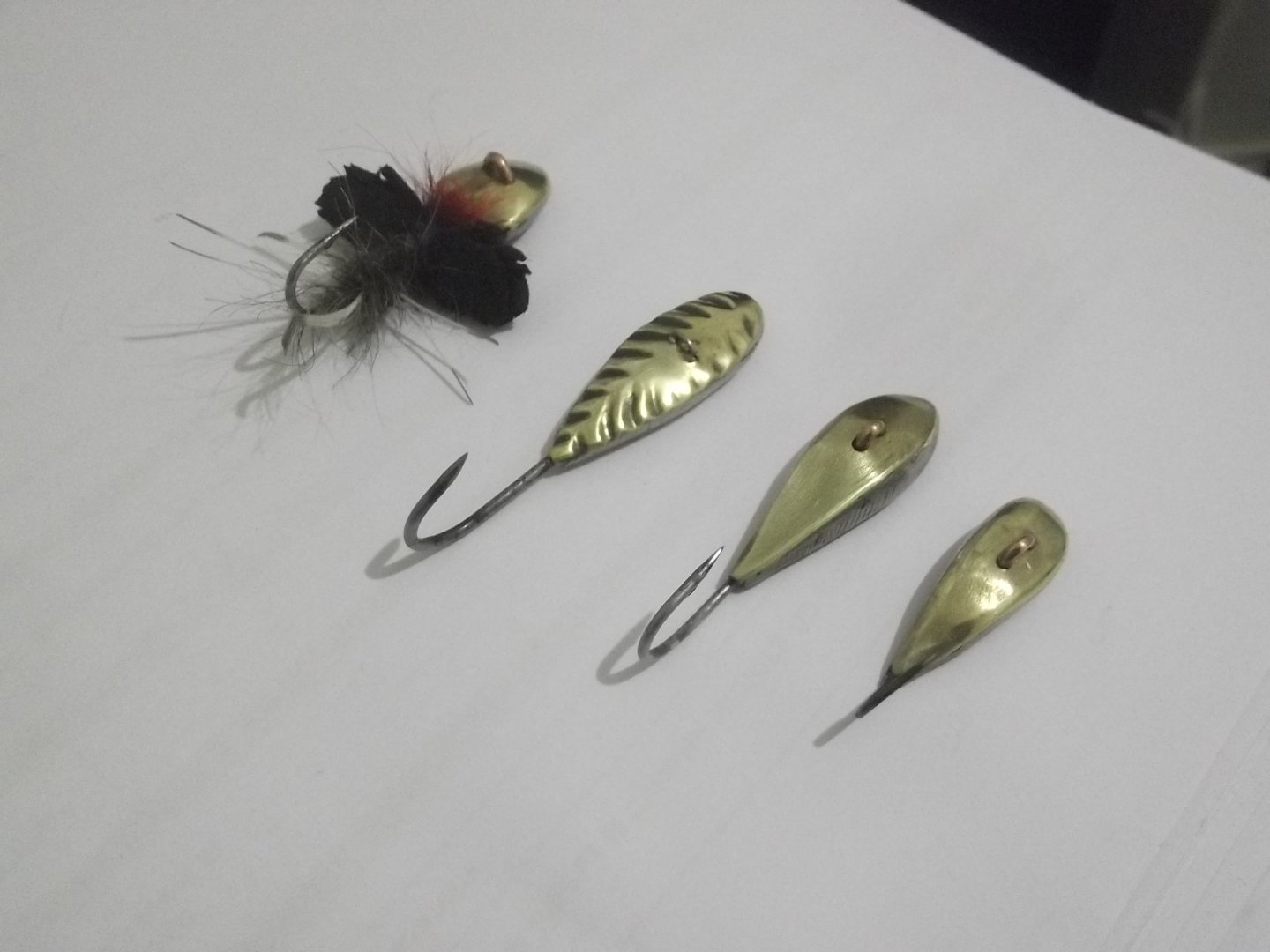 DSCF5571.JPG