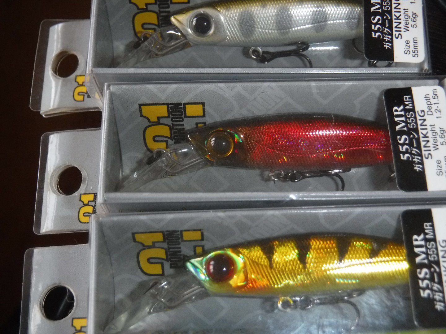 DSCF5673.JPG