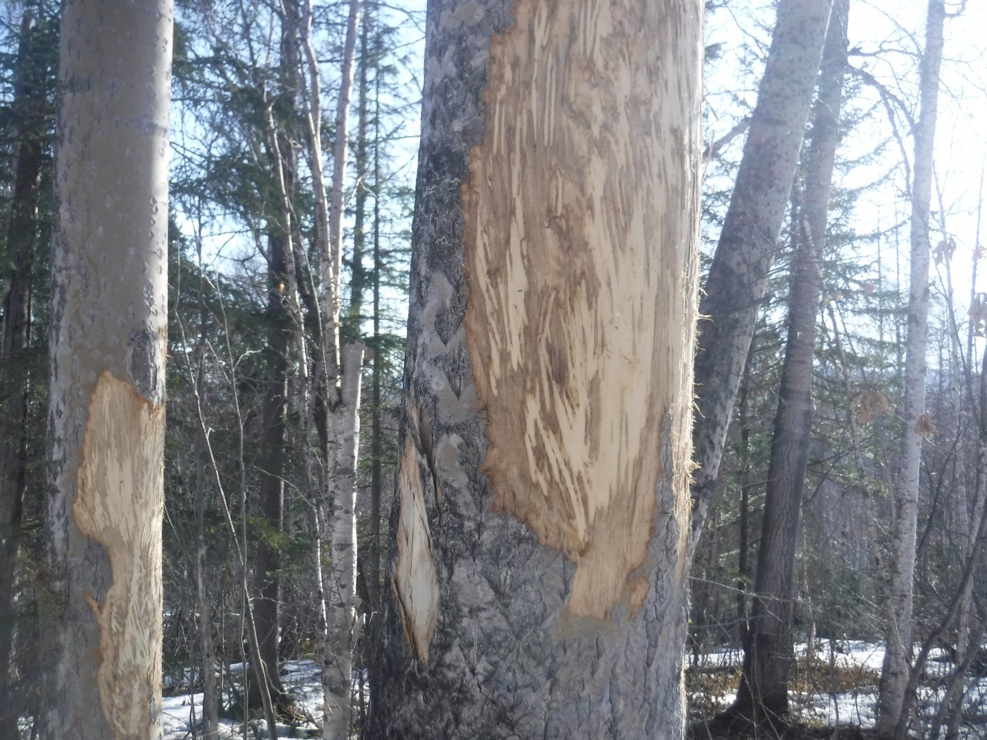 DSCF5726.JPG