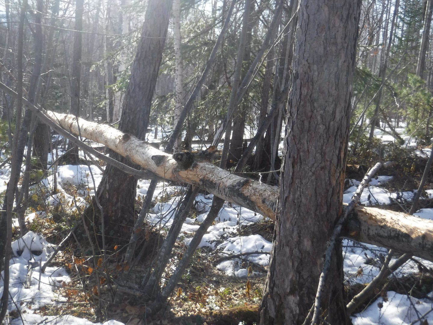 DSCF5727.JPG