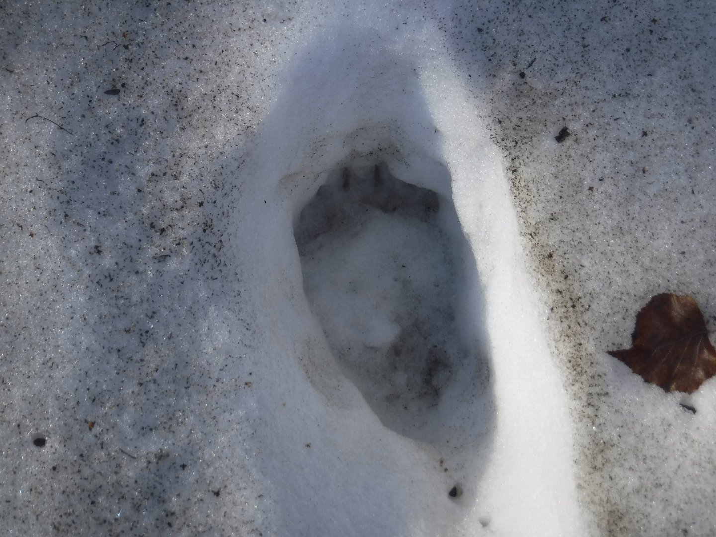 DSCF5728.JPG