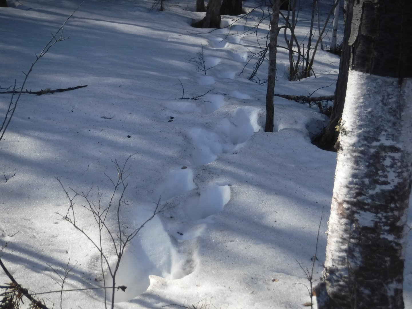 DSCF5730.JPG