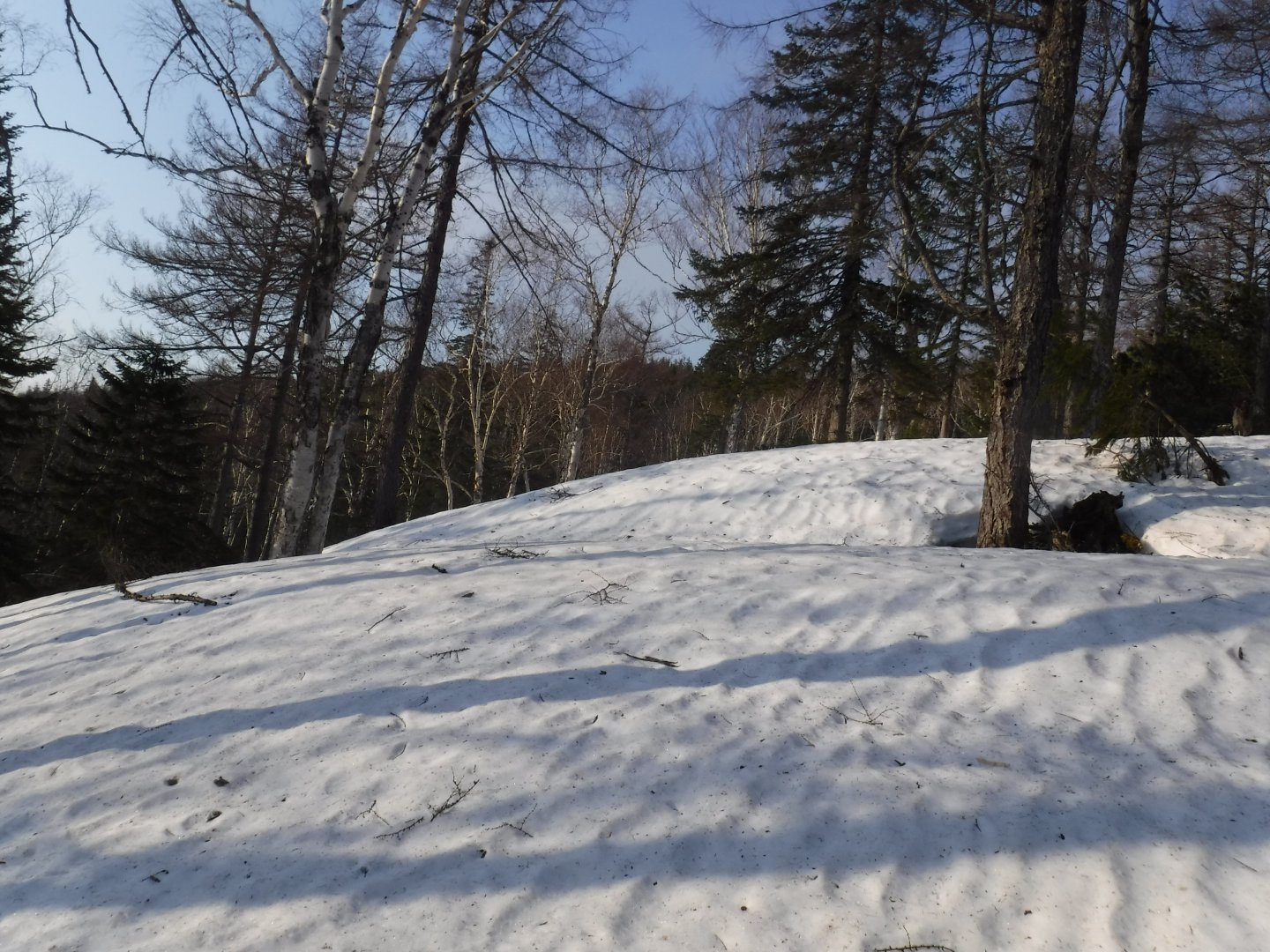 DSCF5748.JPG