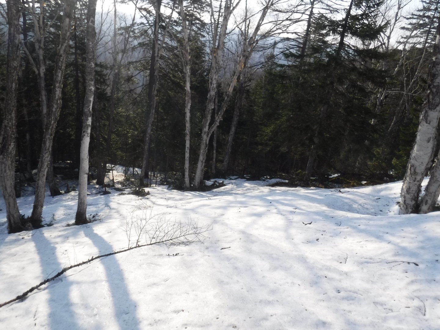 DSCF5750.JPG