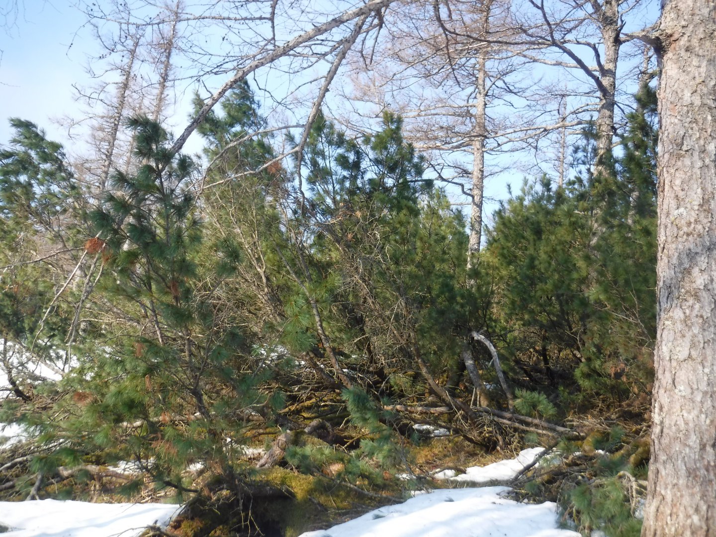 DSCF5751.JPG