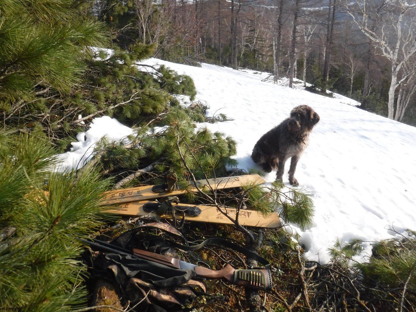 DSCF5754.JPG