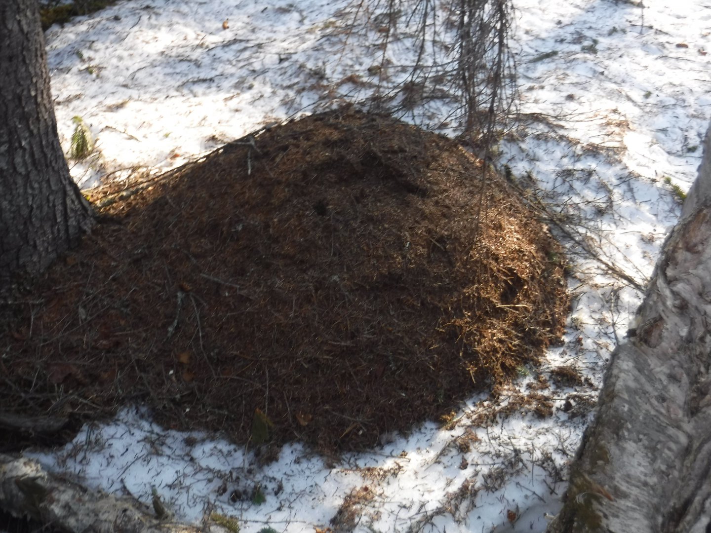 DSCF5756.JPG