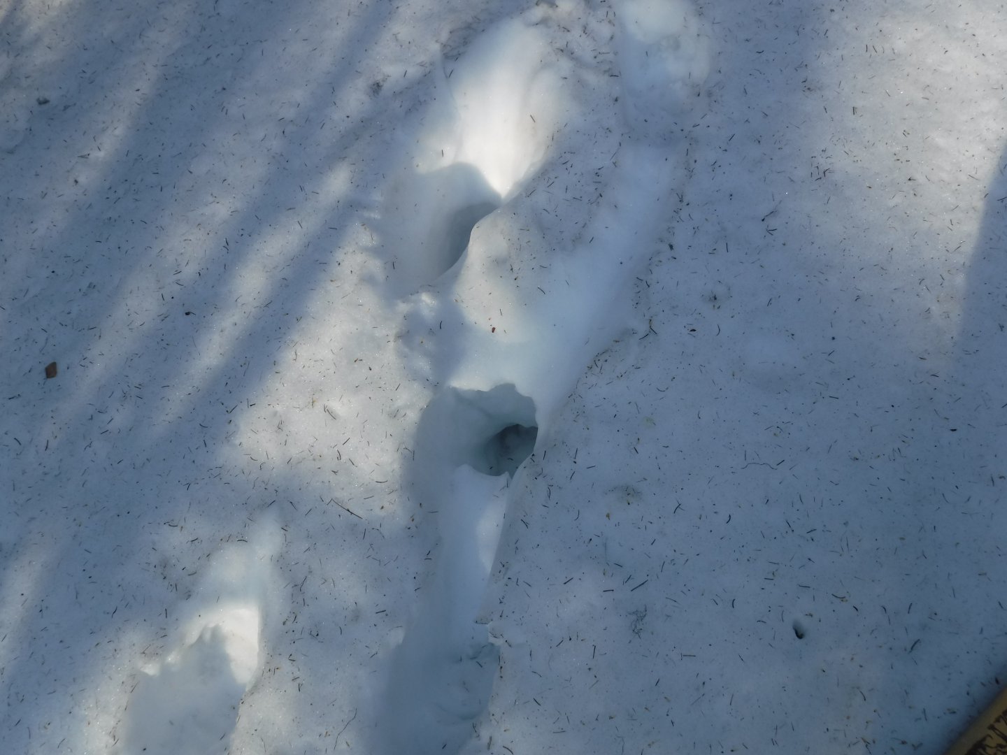 DSCF5757.JPG