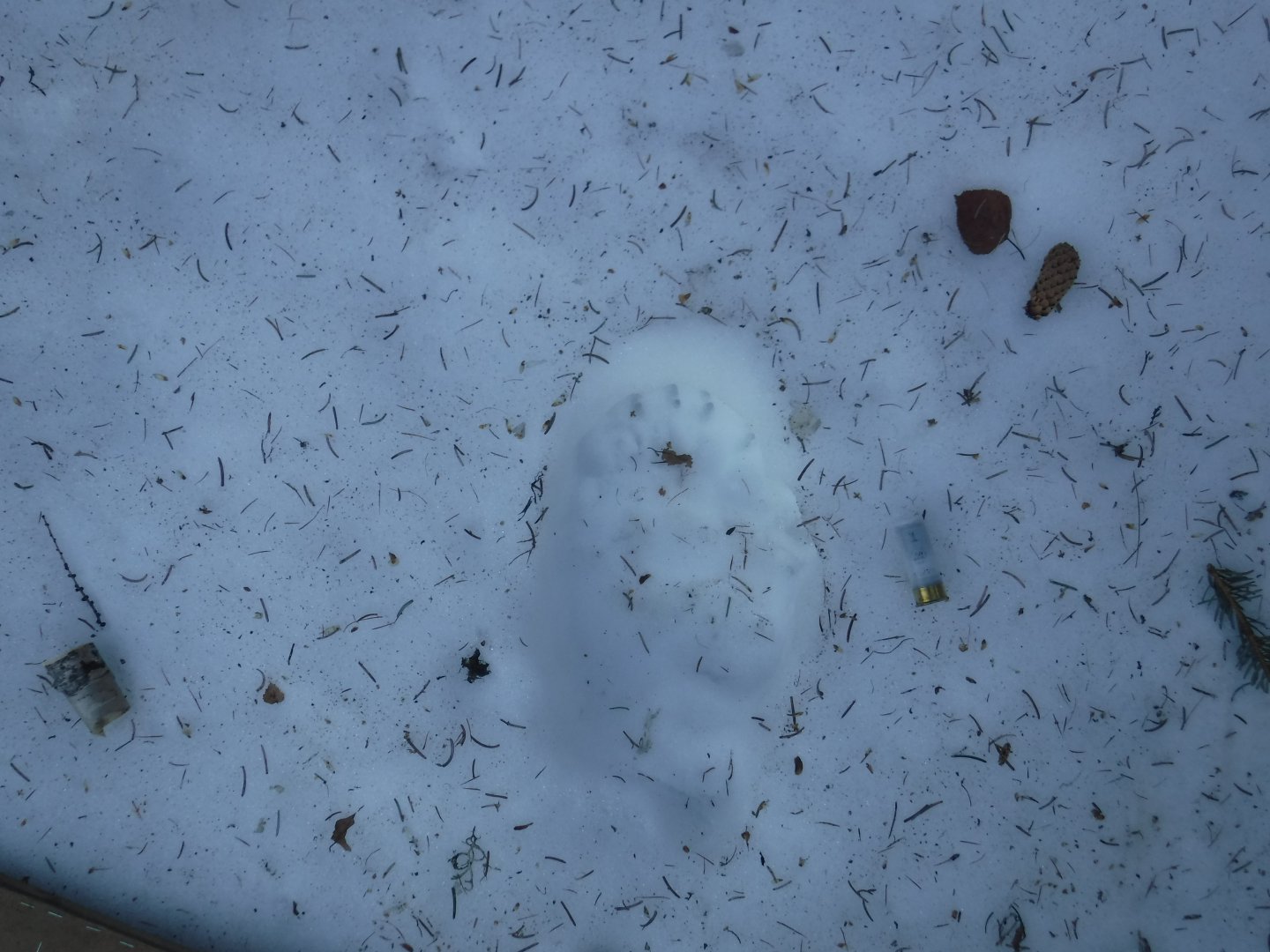 DSCF5758.JPG