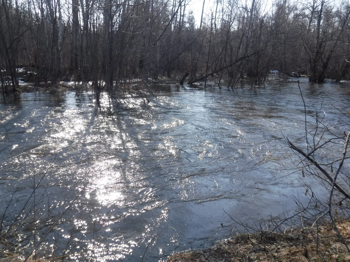 DSCF5761.JPG