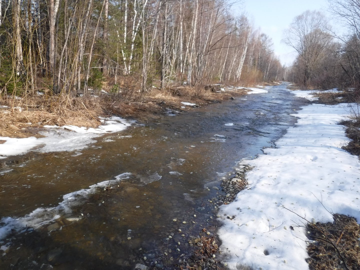 DSCF5762.JPG