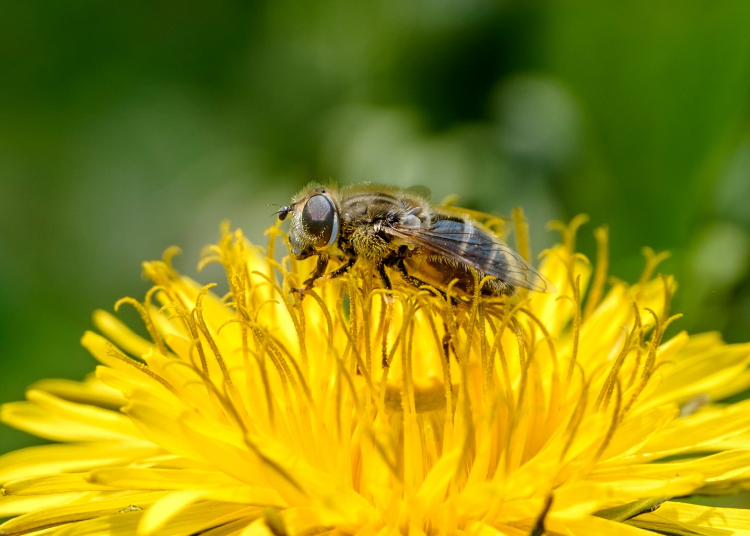 DSCF5769.jpg