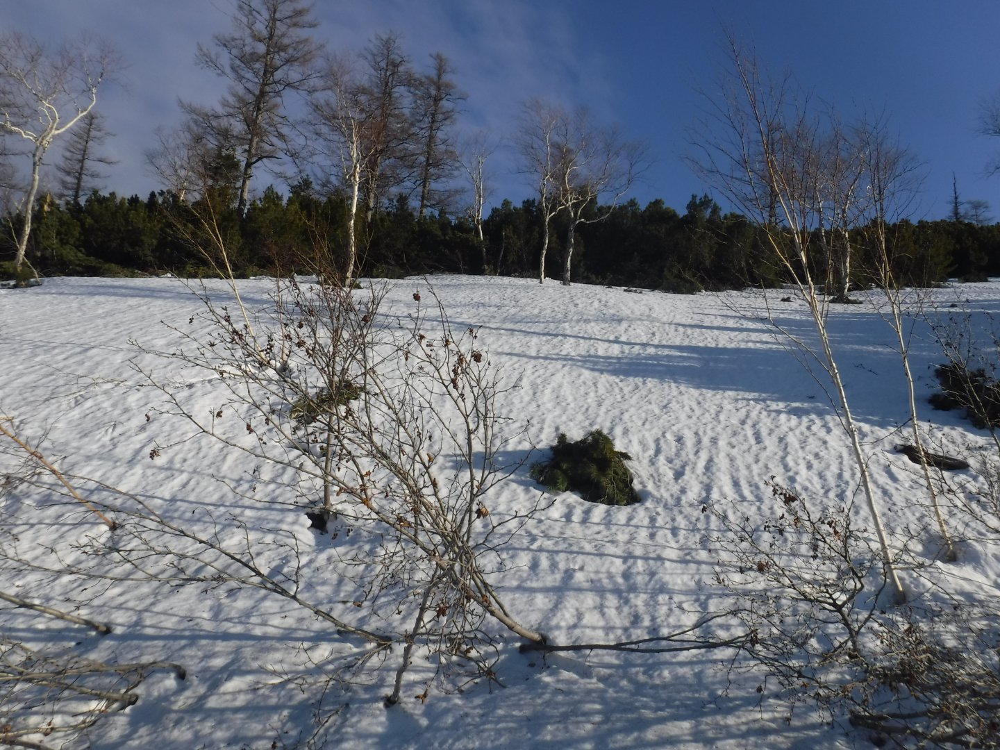 DSCF5773.JPG