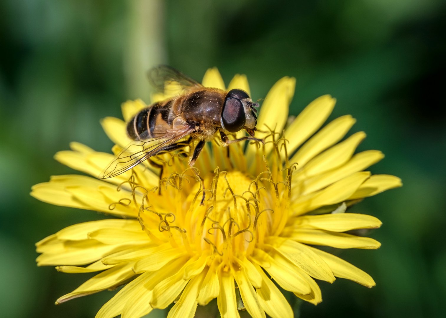 DSCF5774.jpg