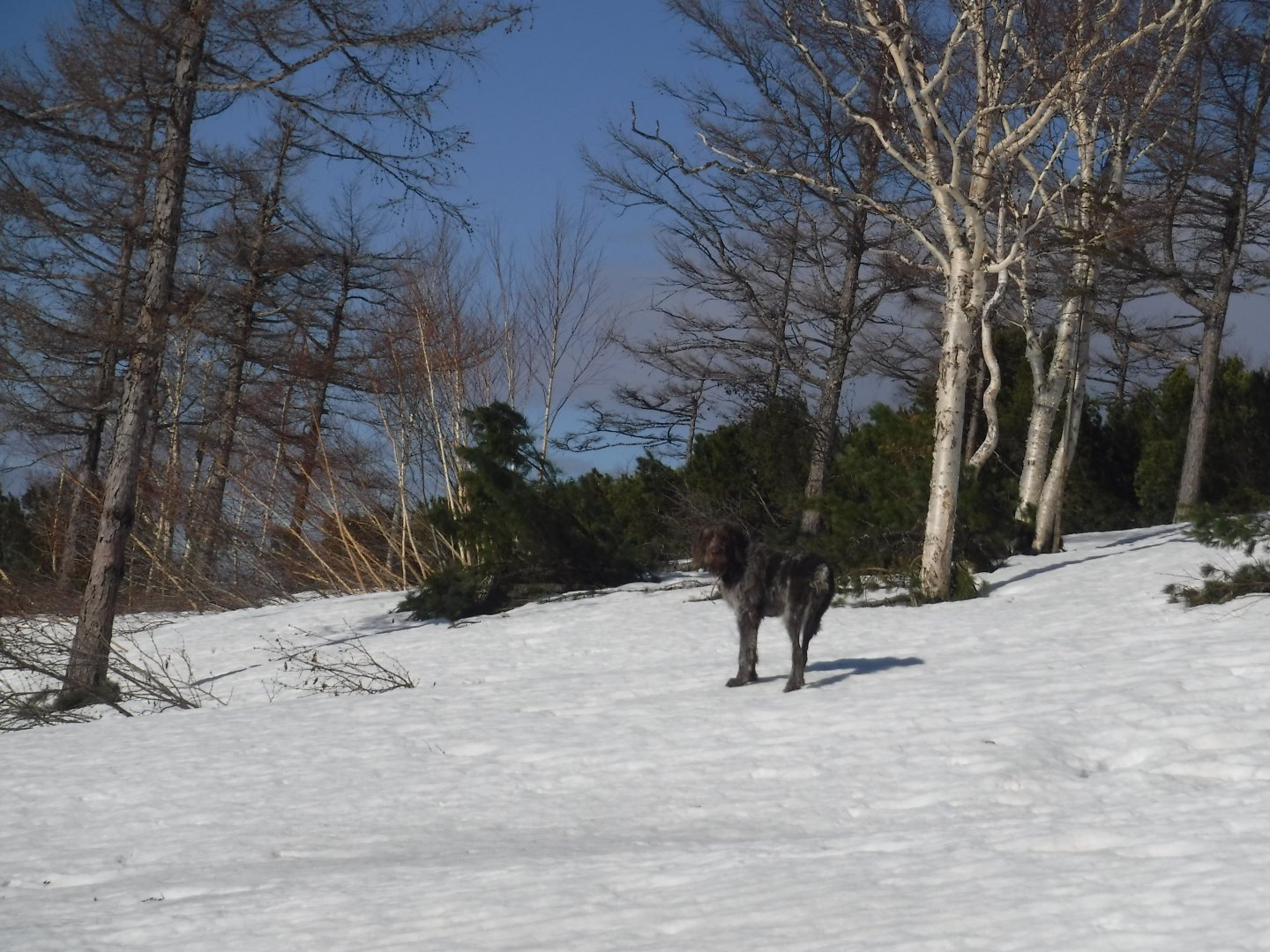 DSCF5775.JPG
