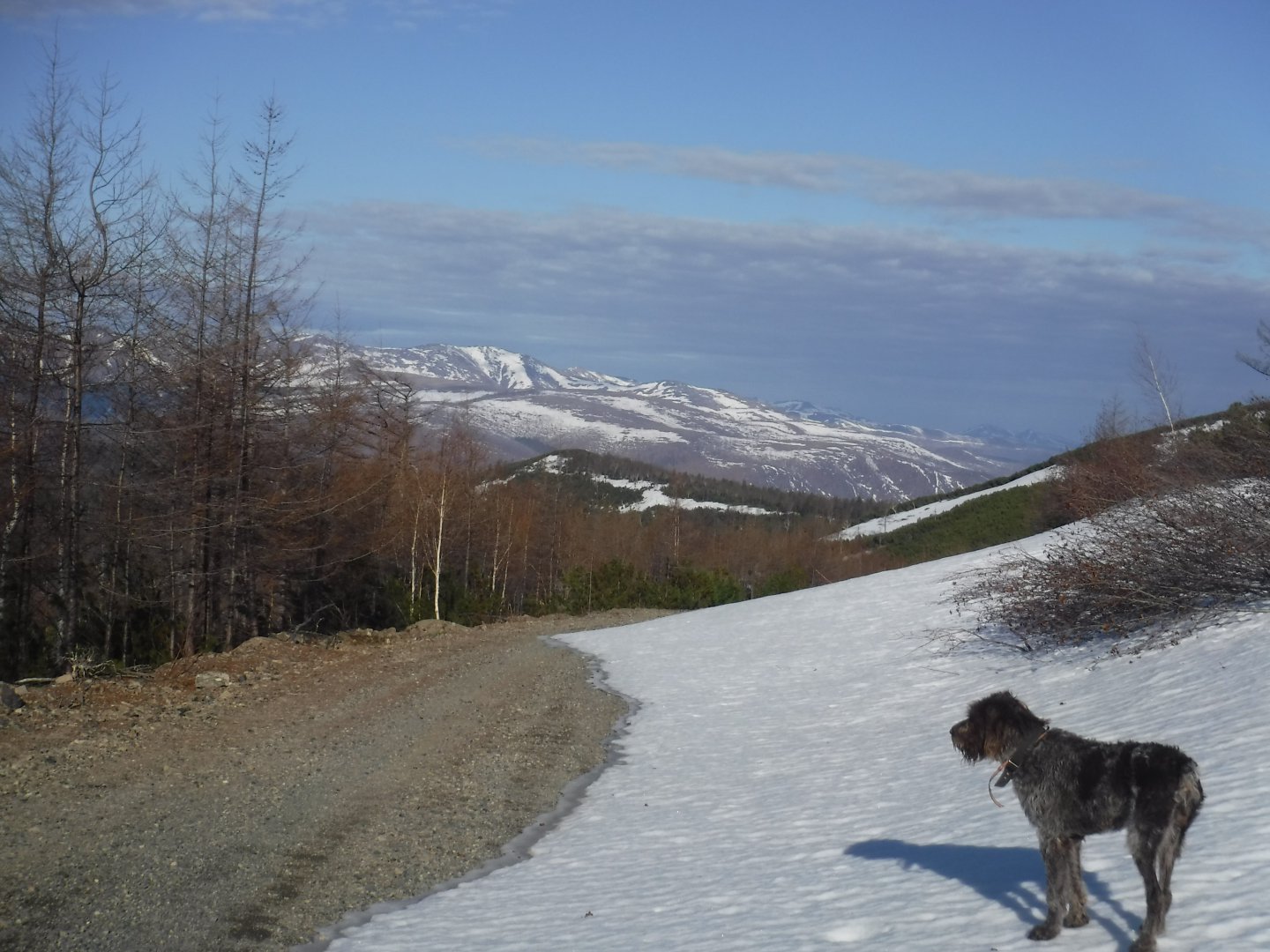 DSCF5778.JPG
