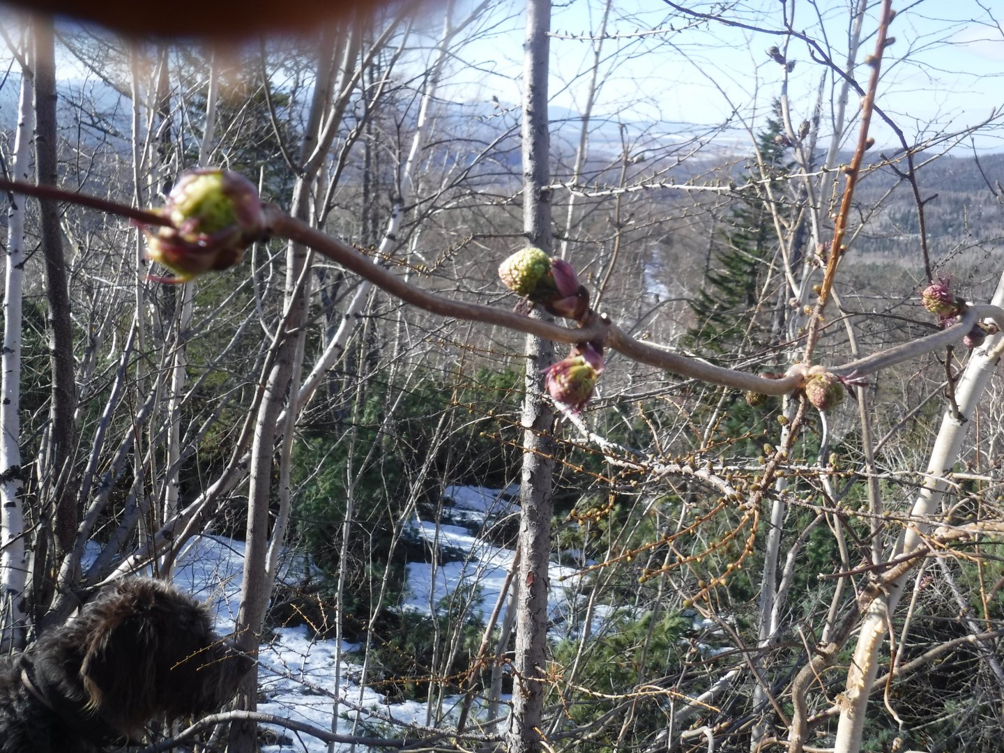DSCF5780.JPG