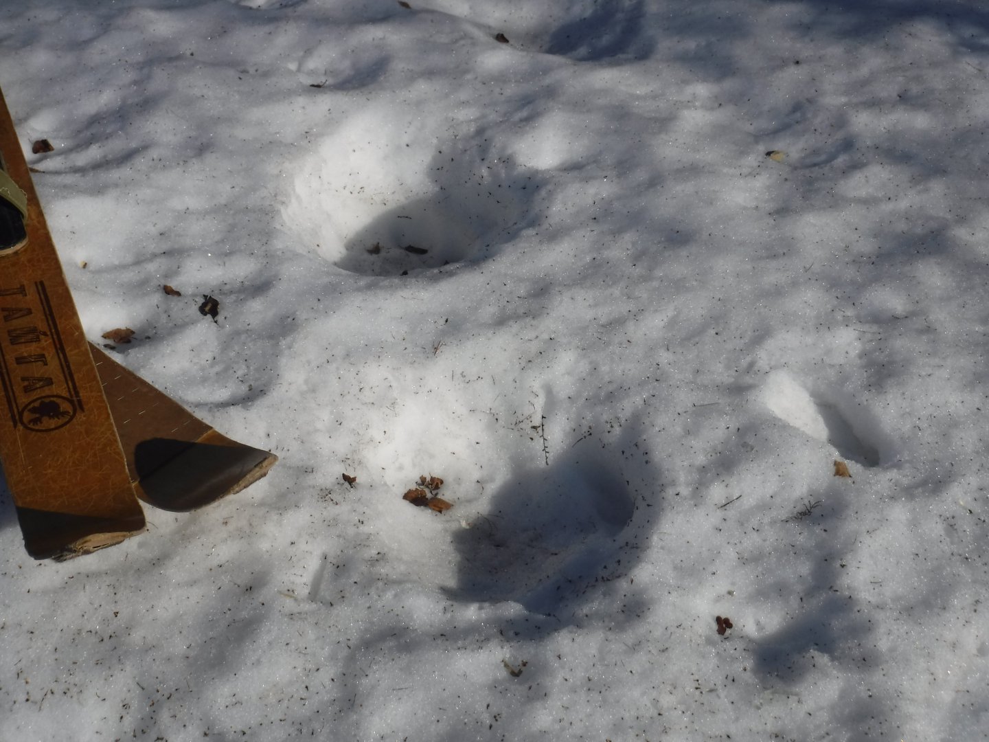 DSCF5781.JPG