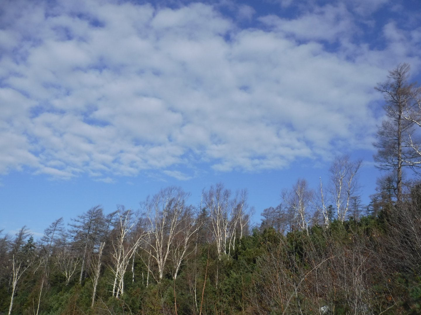 DSCF5782.JPG