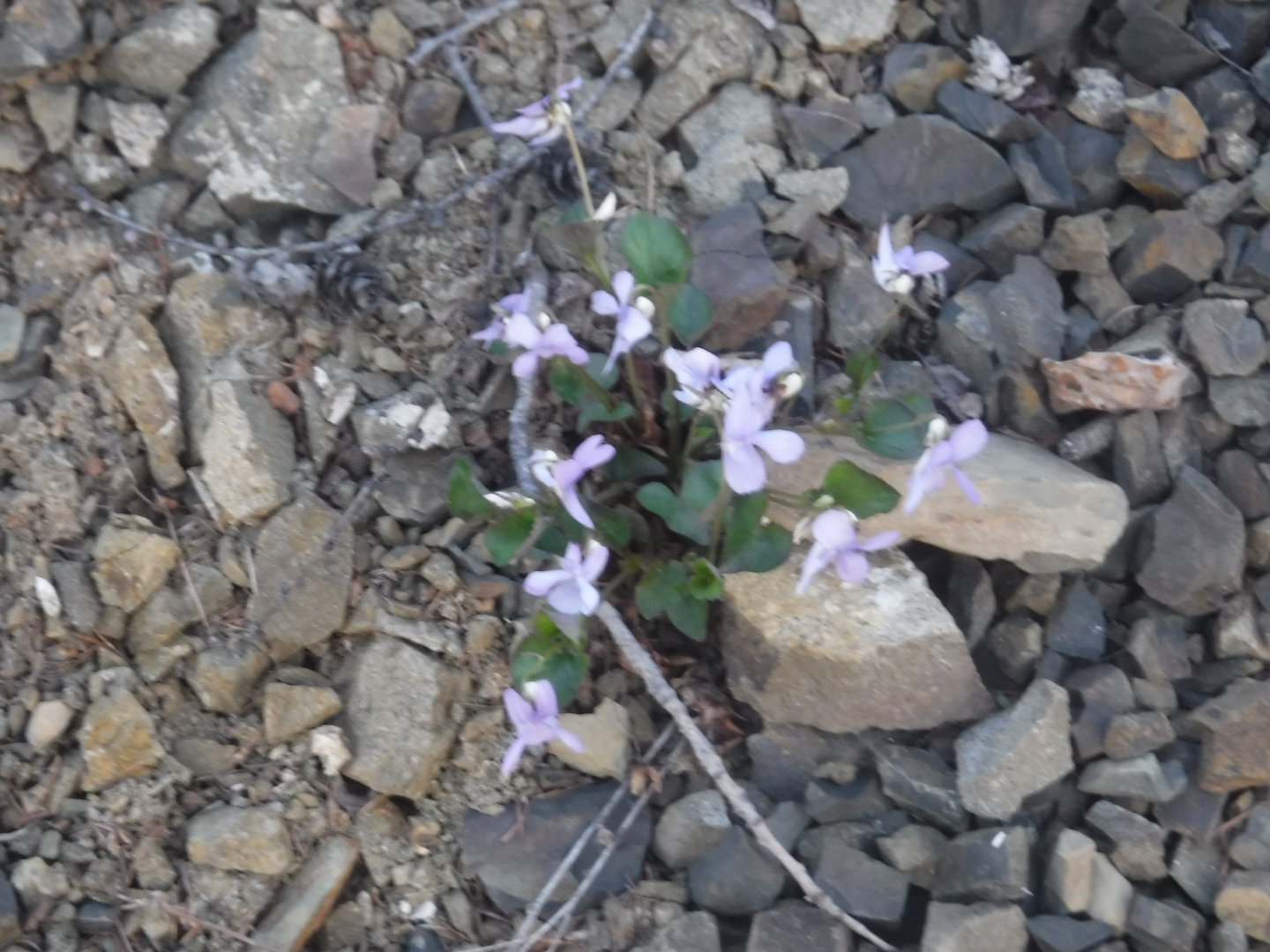 DSCF5828.JPG