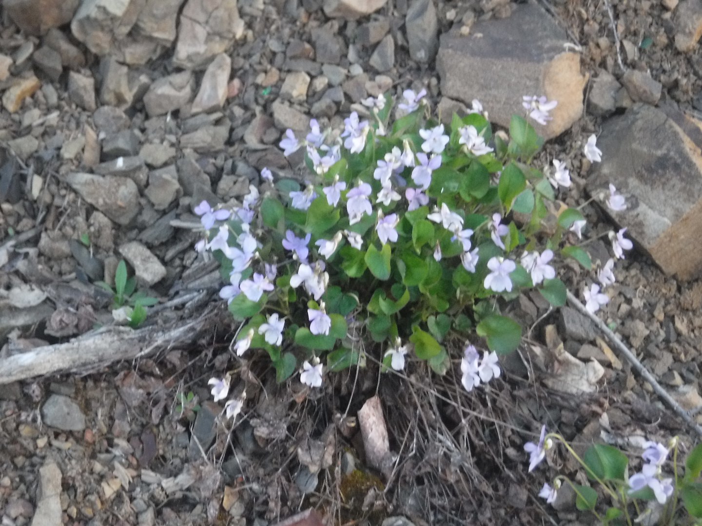 DSCF5829.JPG