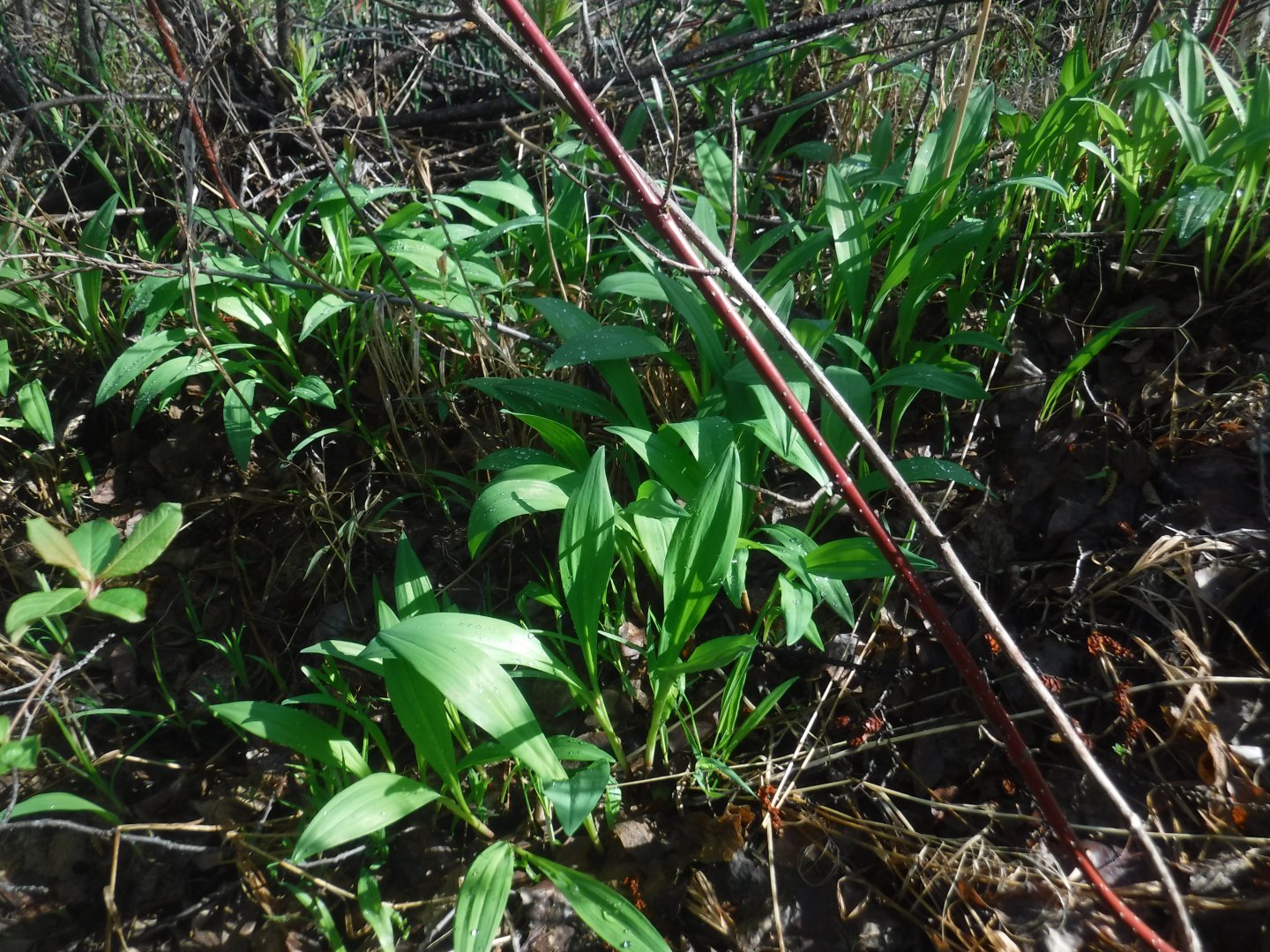 DSCF5875.JPG
