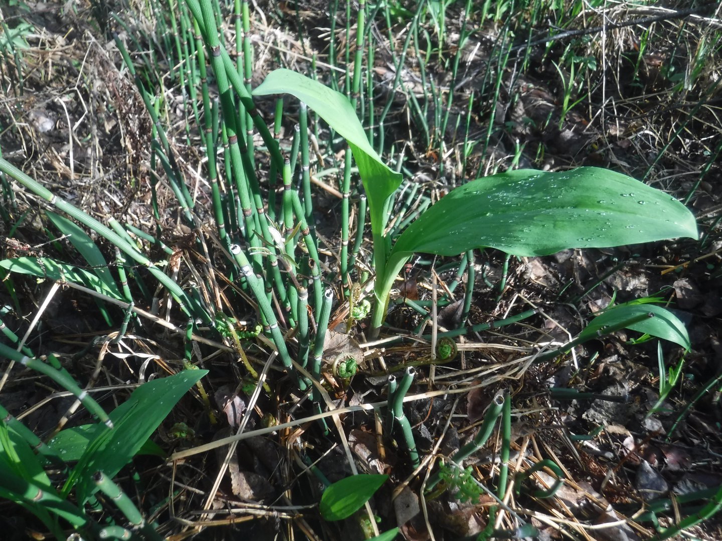 DSCF5876.JPG