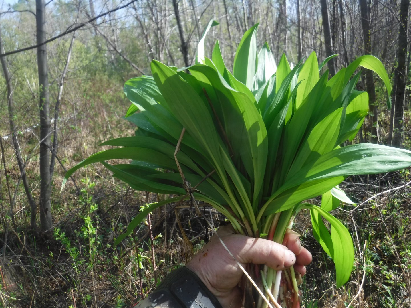 DSCF5877.JPG