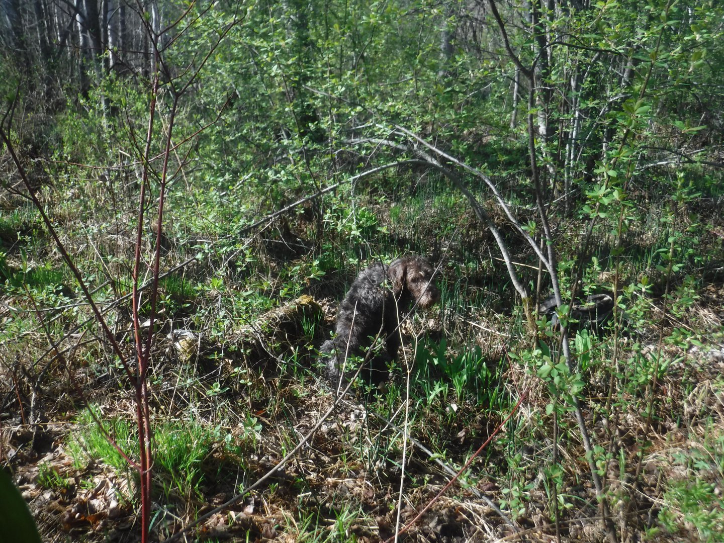DSCF5880.JPG