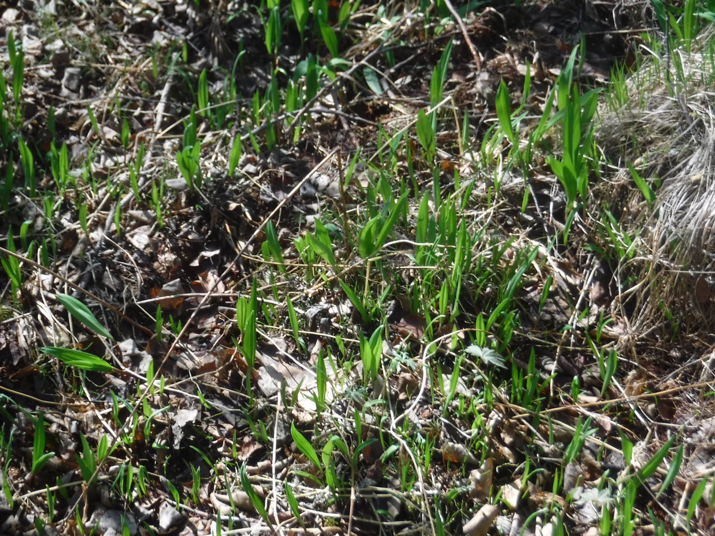 DSCF5892.JPG