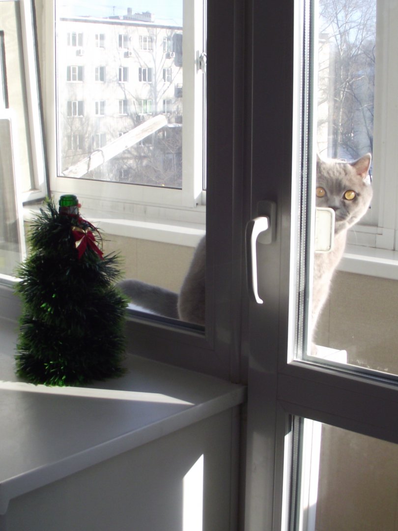 DSCF5934.JPG