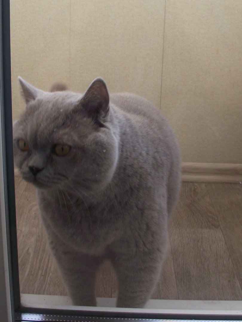 DSCF5939.JPG